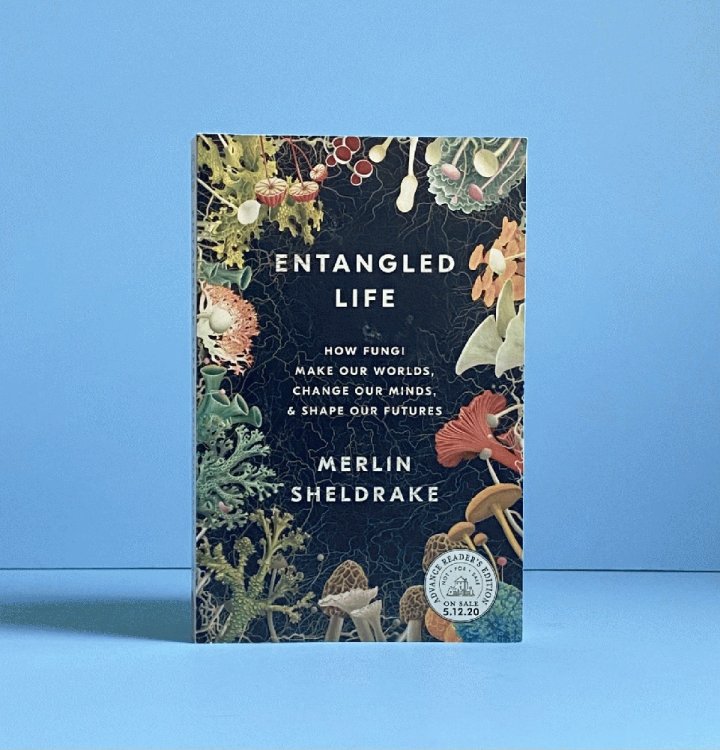 Image for Entangled Life: How Fungi Make Our Worlds, Change Our Minds, & Shape Our Futures Entangled Life: How Fungi Make Our Worlds, Change Our Minds, & Shape Our Futures