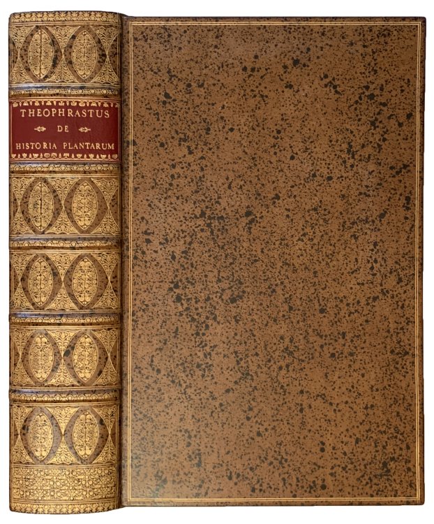 Image for Theophrasti Eresii. De Historia Plantarum liber decem, Graece & Latine. In quibus Textum Graecum variis Lectionibus, emendationibus, hiulcorum supplementis: Latinam Gazae versionem nova interpretatione ad margines: totum Opus absolutissimis cum Notis tum Commentariis: item rariorum Plantarum iconibu Theophrasti Eresii. De Historia Plantarum liber decem, Graece & Latine. In quibus Textum Graecum variis Lectionibus, emendationibus, hiulcorum supplementis: Latinam Gazae versionem nova interpretatione ad margines: totum Opus absolutissimis cum Notis tum Commentariis: item rariorum Plantarum iconibu