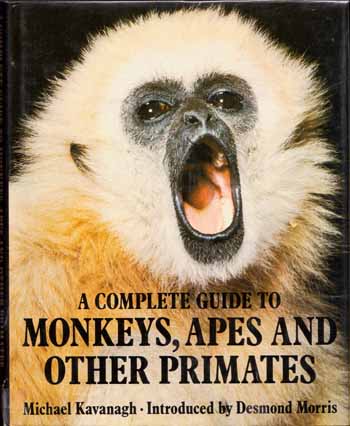 Image for A Complete Guide to Monkeys, Apes and Other Primates A Complete Guide to Monkeys, Apes and Other Primates
