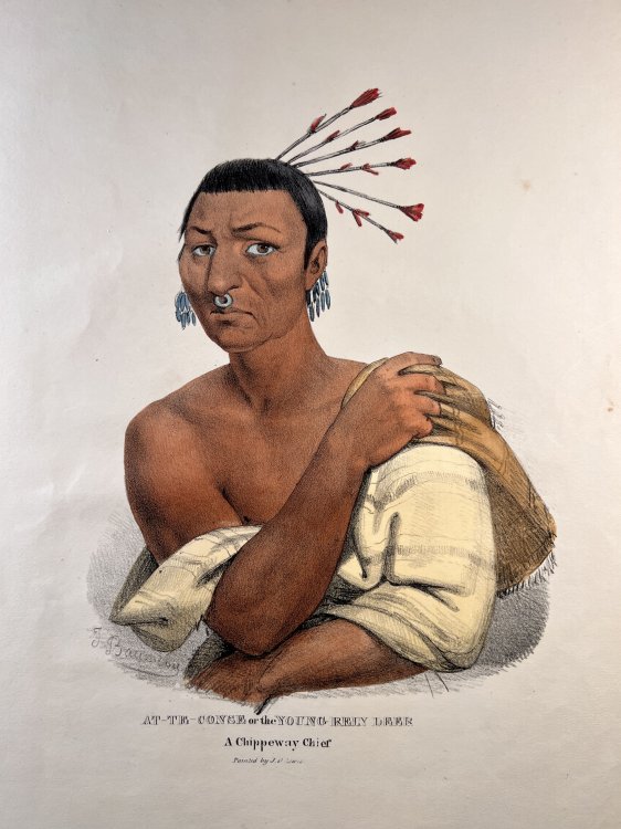 Image for At-Te-Conse or the Young Reindeer. A Chippeway Chief. At-Te-Conse or the Young Reindeer. A Chippeway Chief.