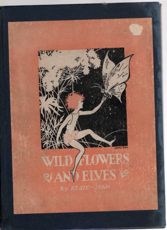 Image for Wild Flowers and Elves Wild Flowers and Elves