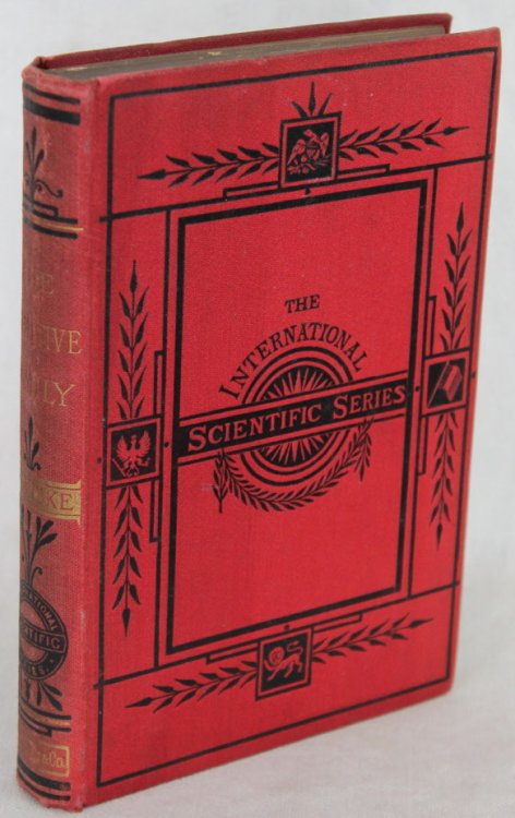 Image for The PRIMITIVE FAMILY In Its Origin and Development The PRIMITIVE FAMILY In Its Origin and Development