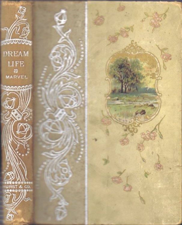 Image for Dream Life: A Fable of the Seasons Dream Life: A Fable of the Seasons